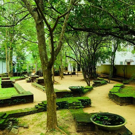 Twin Blocks Nature Resort أنرادابورام المظهر الخارجي الصورة