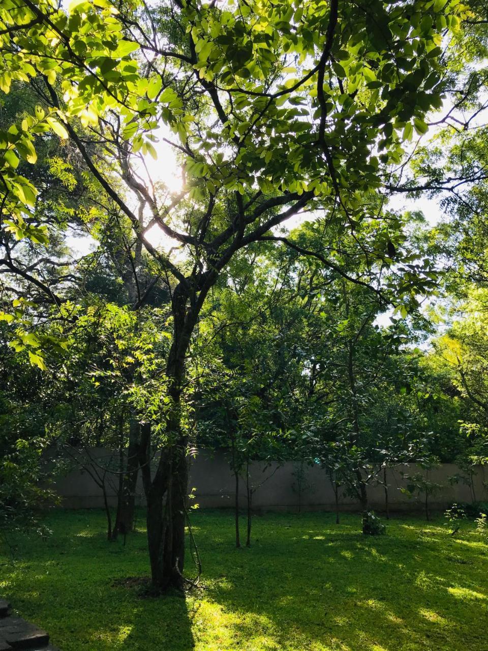 Twin Blocks Nature Resort أنرادابورام المظهر الخارجي الصورة